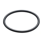 O-ring DCONWS= 20 mm