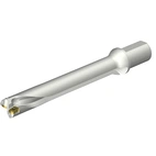 DS20-D4400L50-07