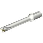 DS20-D3100L40-07