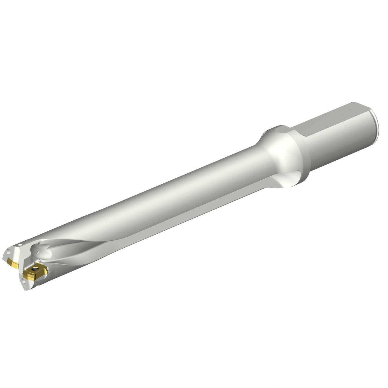 DS20-D2400L25-07