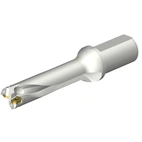 DS20-D3100L40-04