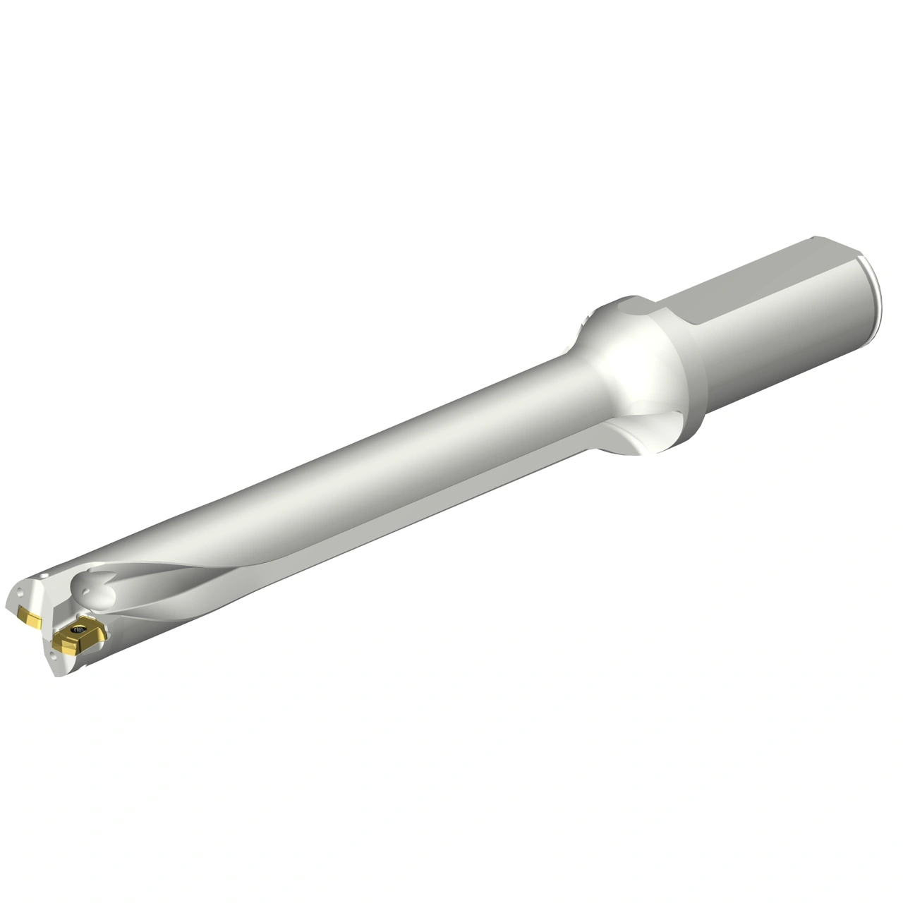 DS20-D2100L25-07
