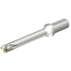 DS20-D1900L25-07