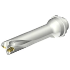 DS20-D3100DM32-04