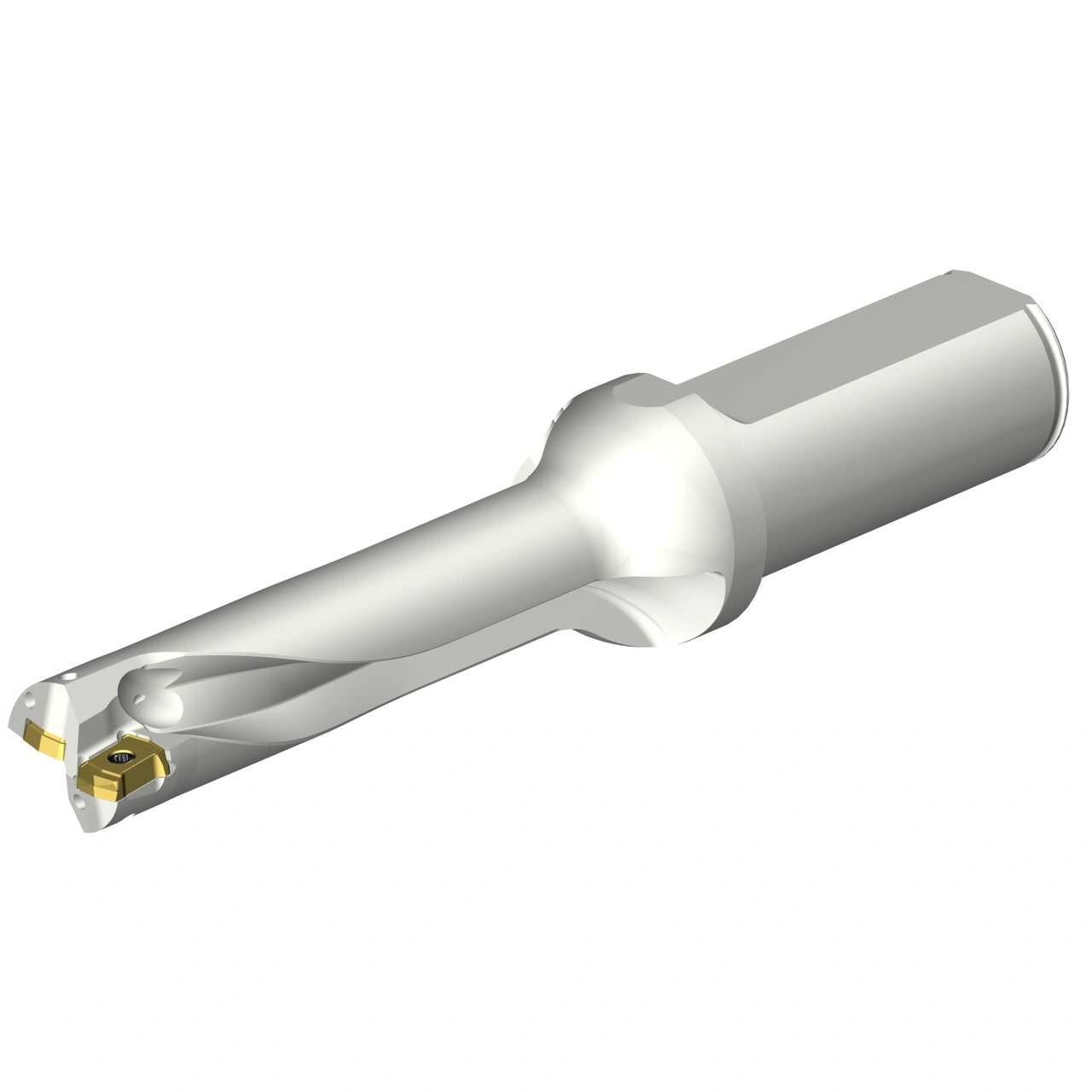 DS20-D1900L25-04