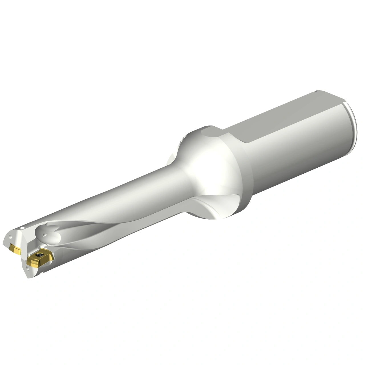 DS20-D1800L25-04
