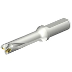 DS20-D1700L20-04