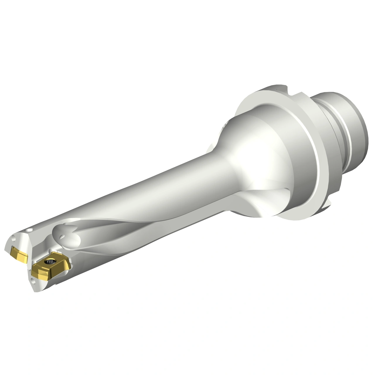 DS20-D1500DM20-04