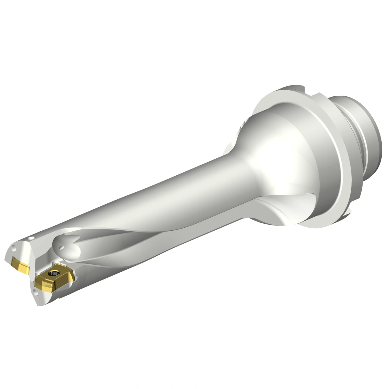 DS20-D1900DM25-04