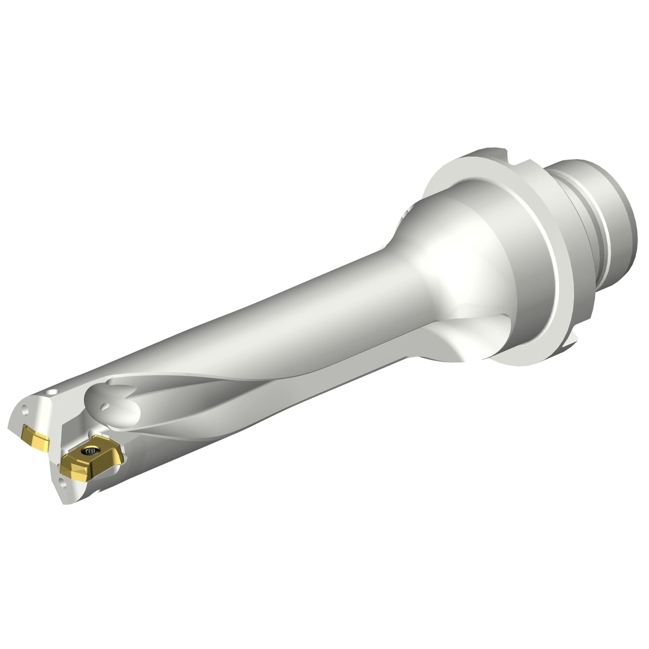 DS20-D1700DM20-04